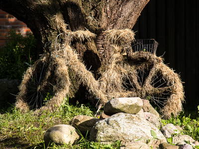 Bild 8 aus  Hof Letsch