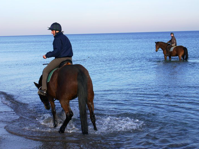 Bild 12 aus  Ferienhof Falk