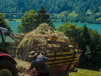 Bild 18 aus  Gästehaus und Biohof Sonnenstatter
