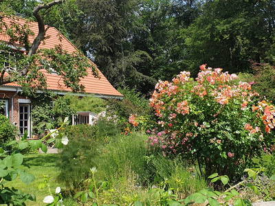 Blick vom Garten auf das Bauernhaus