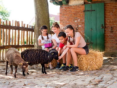 Bild 13 aus  Sonis kleine Farm Grömitz