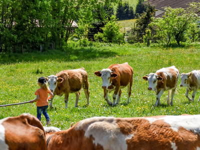 Bild 49 aus  Haberlhof