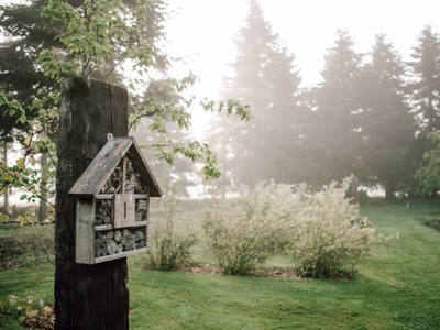 Bild 13 aus  Ferienhof Werner