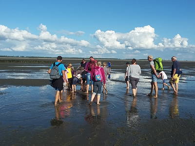 Wattführung in Vollerwiek