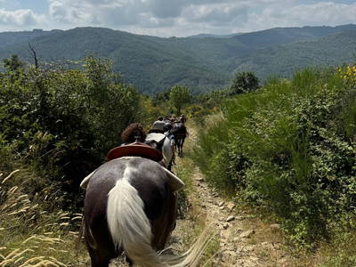 Bild 52 aus  Casa Bivignano