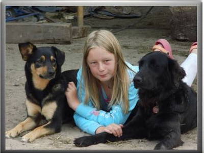 Bild 11 aus  Hof Petersen