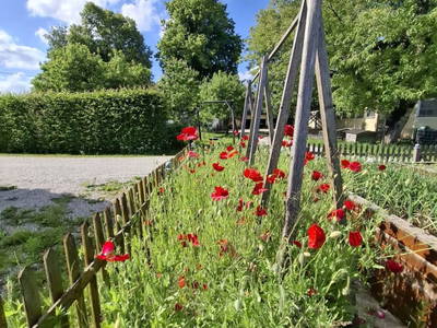 Bild 18 aus  Zehentnerhof
