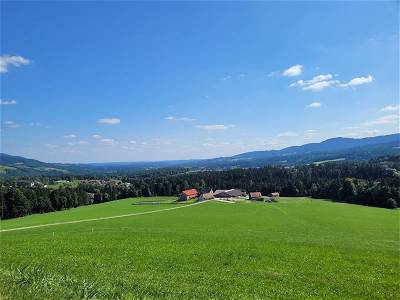 Bild 51 aus Pircherhof - Adults Only am Biobauernhof