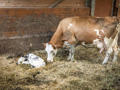 Bild 121 aus  Kesslerhof