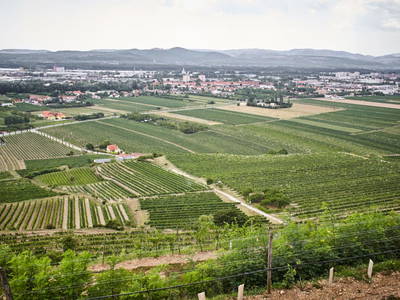 Bild 65 aus  Schmankerl und Gast Heiderer