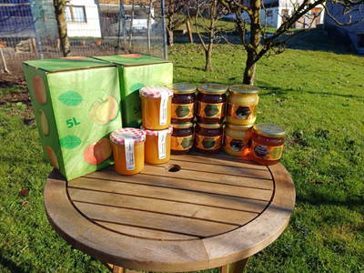 Bild 14 aus  Imkerei Hammerer