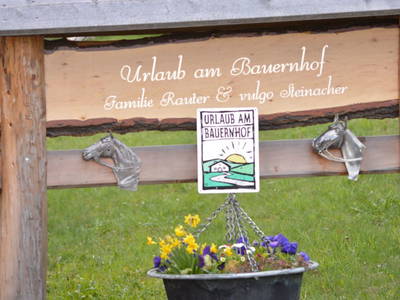 Bild 44 aus  Steinacher