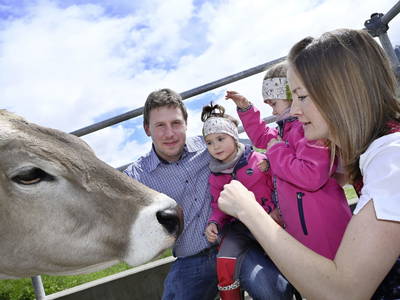 Bild 65 aus  Ferienhof Landerleben