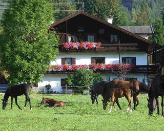 Tschaperhof - Urlaub mit Pferd aus Leutasch