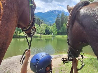 Bild 18 aus  Reiterhof Romanasa