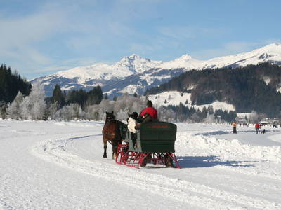 Bild 39 aus  Pfeiferhof