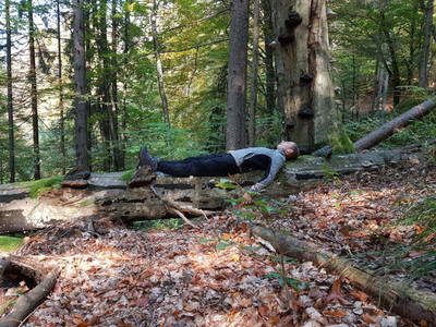 Bild 20 aus  Holzblockhütten am Koflerhof