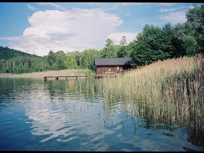 Bild 15 aus  Landhof Holzer