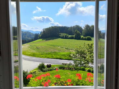 Bild 119 aus  Obergrafenberger