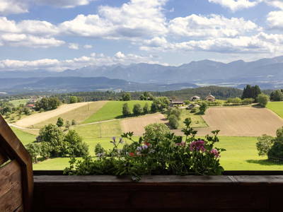 Bild 88 aus  Pleschinhof