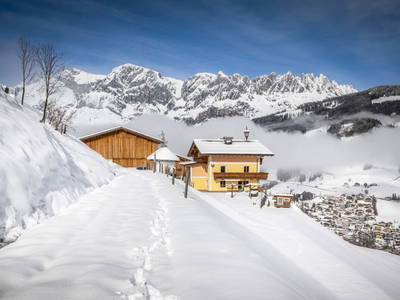 Bild 117 aus  Brennergut