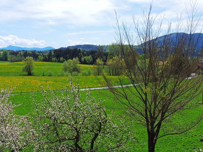 Bild 15 aus  Bernwieserhof