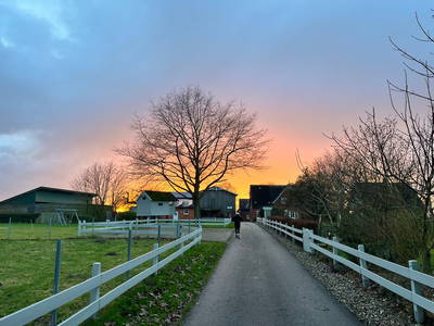 Bild 9 aus  Ferienhof Sell Bauernhofurlaub Ostsee Ponys