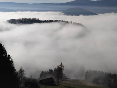 Bild 87 aus  Himmelbauer