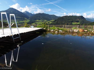 Bild 15 aus  Ferienhaus Pesbichl