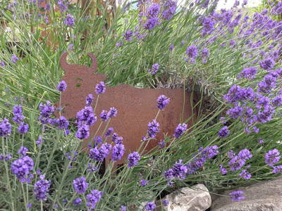 Bild 8 aus  Schmiedlarhof