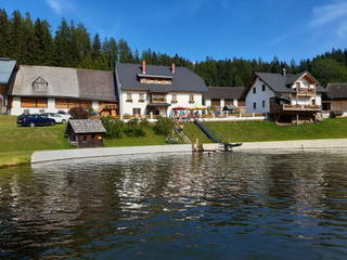 Luger aus Neumarkt in Steiermark