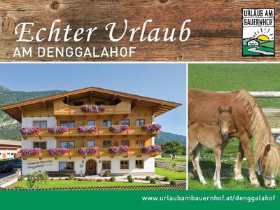 Bild 18 aus  Denggalahof