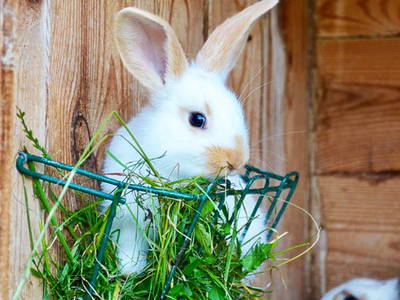 Bild 5 aus  Hof-Heidesand