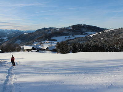 Bild 13 aus  Hirmhof