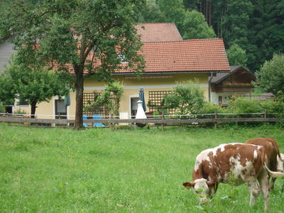 Bild 37 aus  Tobelmühlhof