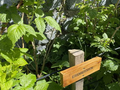 Bild 20 aus Alpenfarm Poschhof