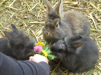 Bild 7 aus  Marchlhof