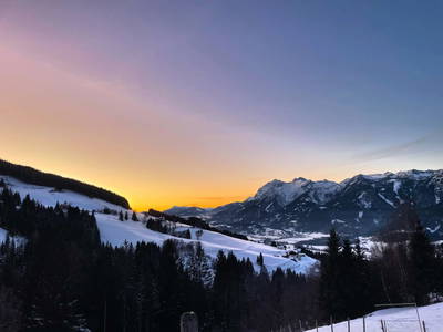 Bild 28 aus  Hirzhof