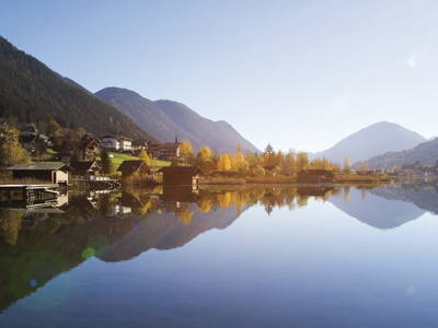 Bild 116 aus  Neusacher Moser