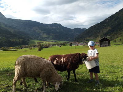 Bild 125 aus  Anderlbauer