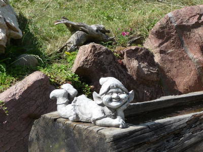 Bild 72 aus  Stembergerhof