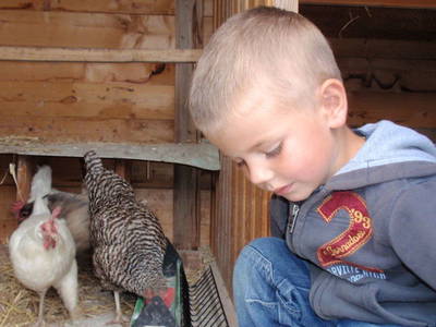 Bild 42 aus  Marteshof