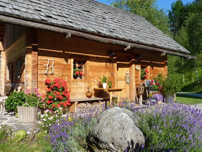 Bild 31 aus  Stückler - Hütte