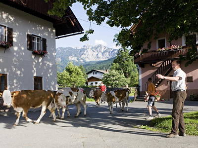 Bild 27 aus  Hotel Hansbauerhof