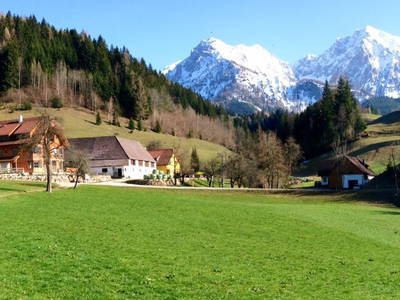 Bild 19 aus  Ferienhof Hintergrabenbauer