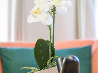 Bild 80 aus  Landhaus Sofie