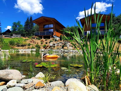 Bild 58 aus  Almchalet Nikola