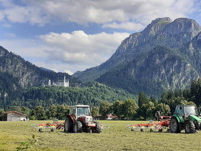 Bild 29 aus  Augustinerhof