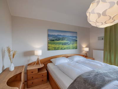 Bild 248 aus  Pleschinhof