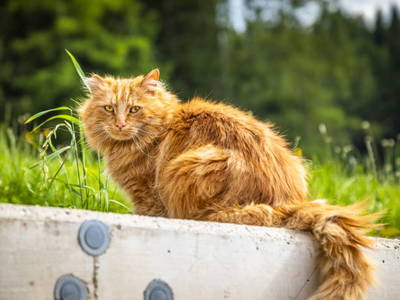 Bild 27 aus  Hochthron Suites